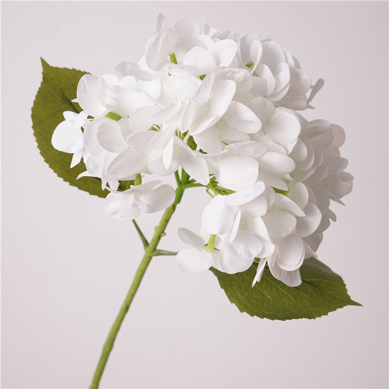Hand print magic coral hydrangea-white