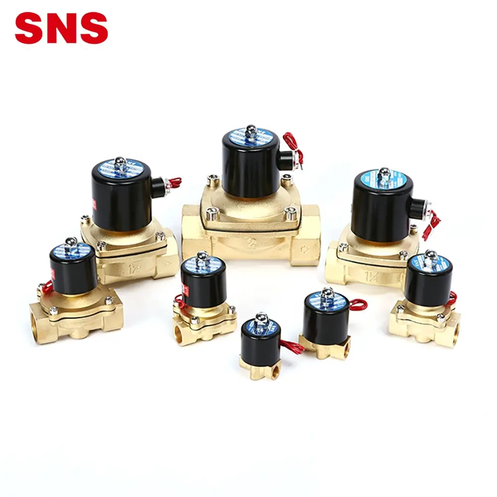 SNS 2W ปกติปิดไฟฟ้า220V 24V 12V ทองเหลืองน้ำ Solenoid วาล์ว G/NPT