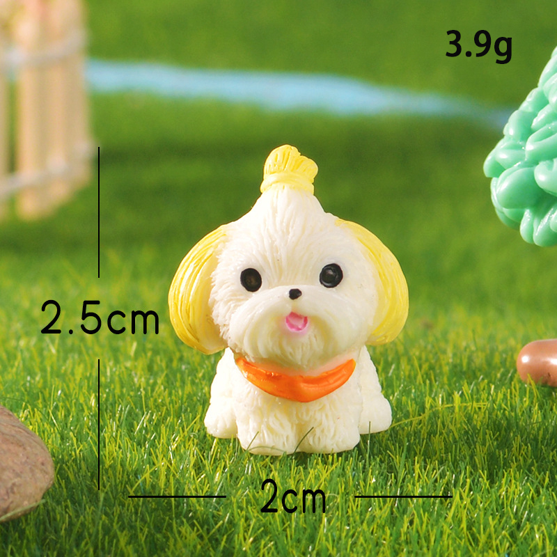 Shih Tzu beige