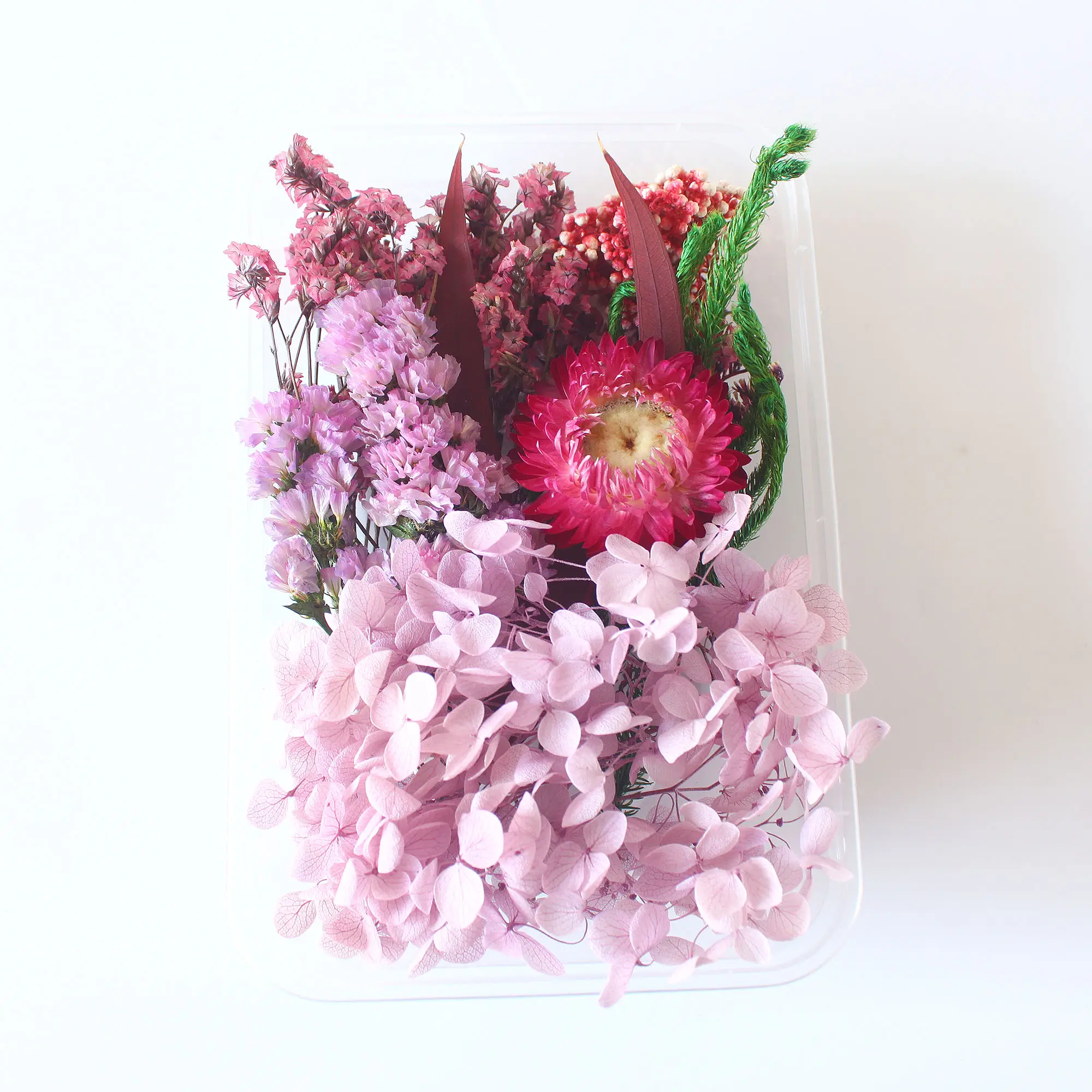 1 Schachtel mit Arten der manuellen Kreation Natürliche konservierte Blumen Trocken blumen für Harz handwerk