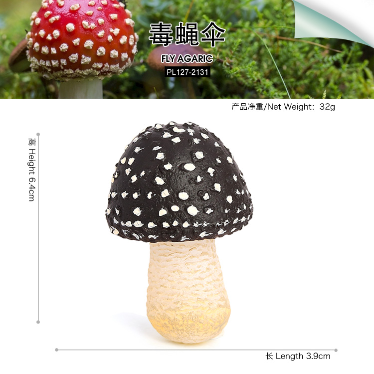 2131 Fly agaric Fly amanita