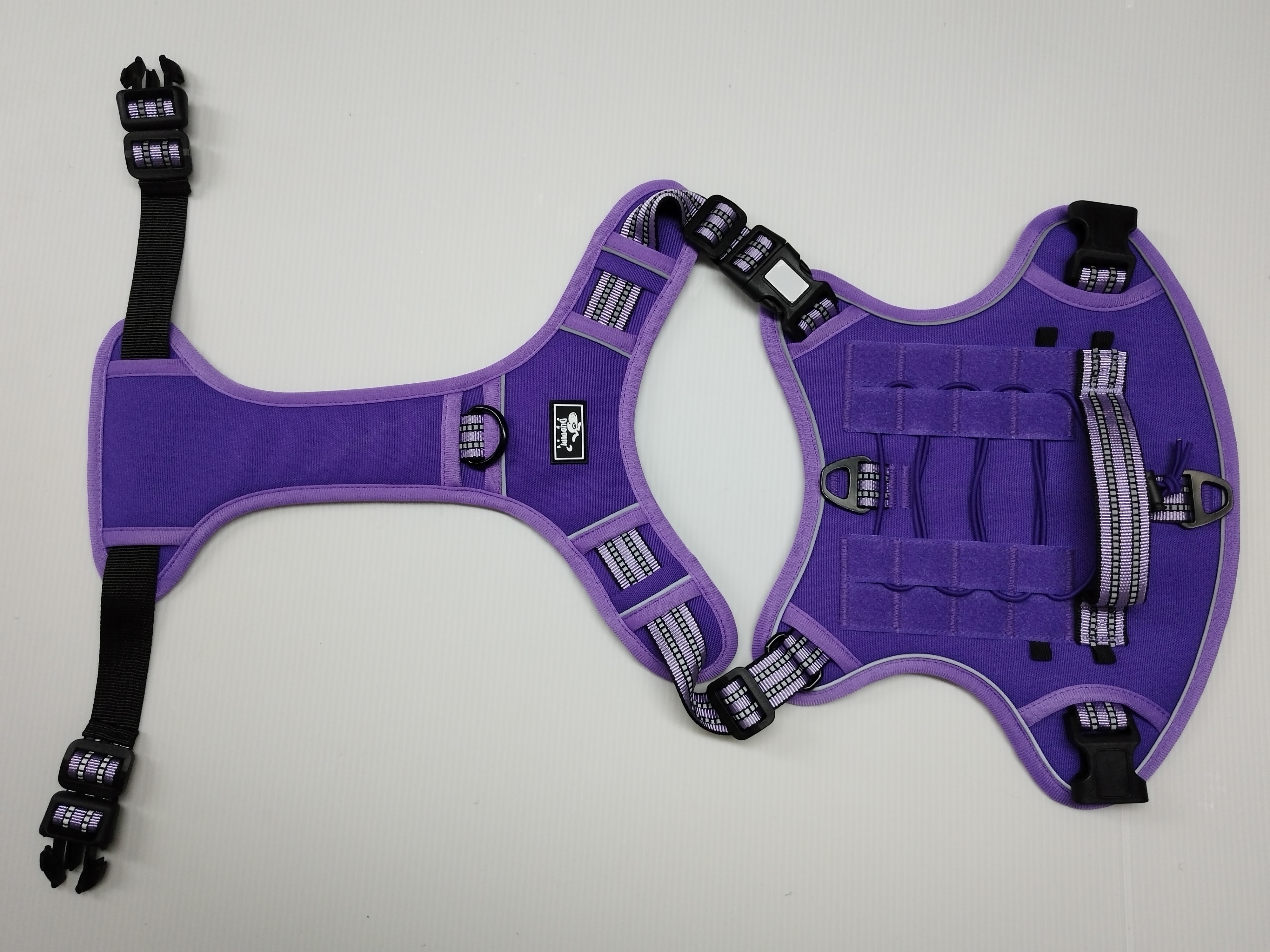 Viola