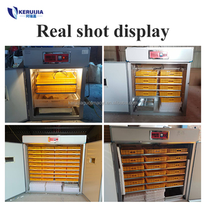 New Home sử dụng 1056 nhựa tự động lồng ấp trứng và Máy Ấp Trứng cho gà & trứng heo con - Product Image 6