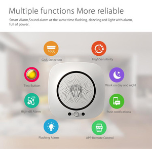 スマートホームオートメーションWiFi接続用のラウドボイスチャイナアラーム固定メタンLPGガス検知器 - Product Image 4