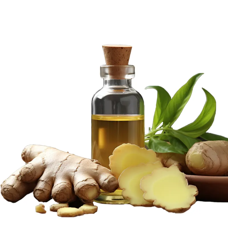 Vendita calda estratto vegetale puro 100% olio di zenzero naturale biologico per la cottura e lo zenzero olio per la crescita dei capelli