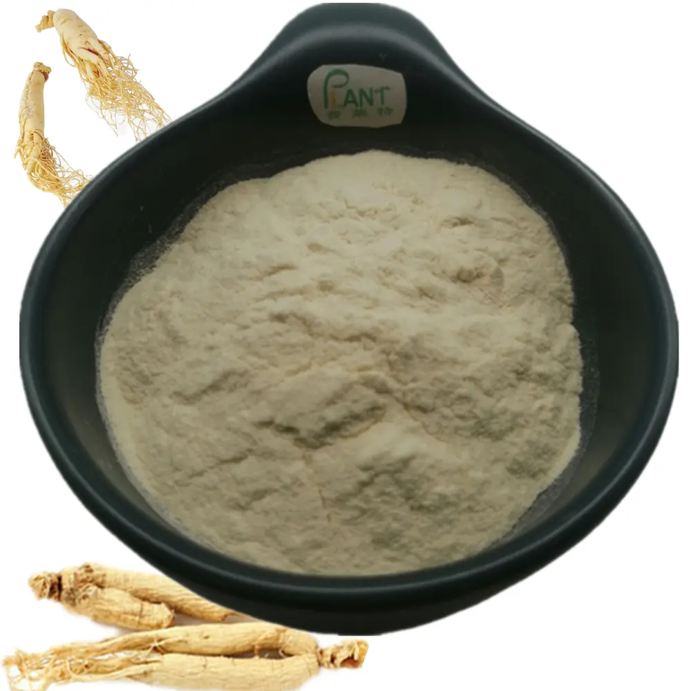 High quality best price natural bulk Panax ginseng root extract water soluble powder Ginsenosides 10% 20% 80%