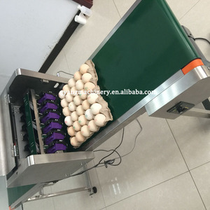 Hochgeschwindigkeits-Eiddatumsdrucker Tintenstrahl-Eiercodierungsdrucker Druckmaschine Preis