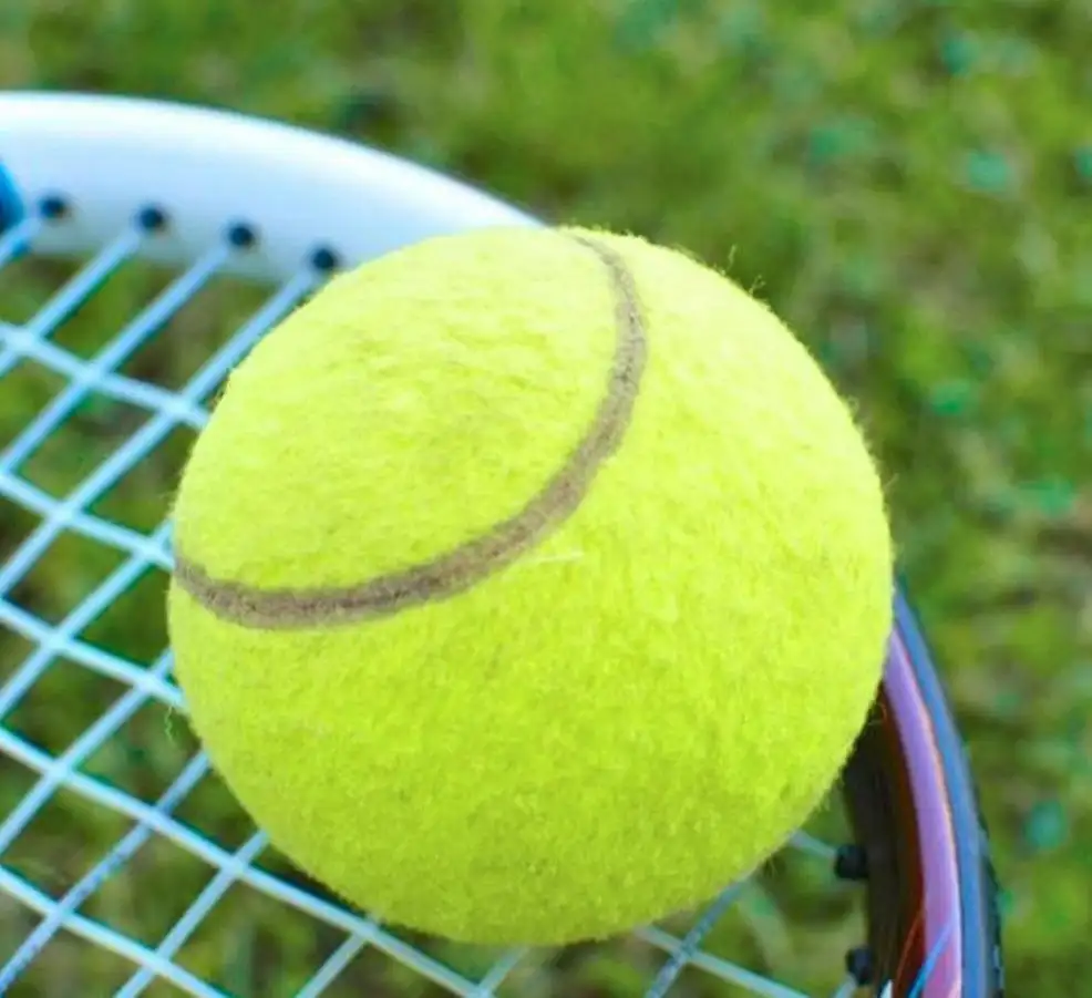 Logo kustom kualitas terbaik profesional Padel Ball Pro model de bola tenis Kelas A