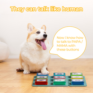 מחיר סיטונאי ניתן recorder כלב מדבר כפתור לחץ/רטט/תנועה חיישן מופעל 270s זמן משחקים לשיפור - Product Image 4