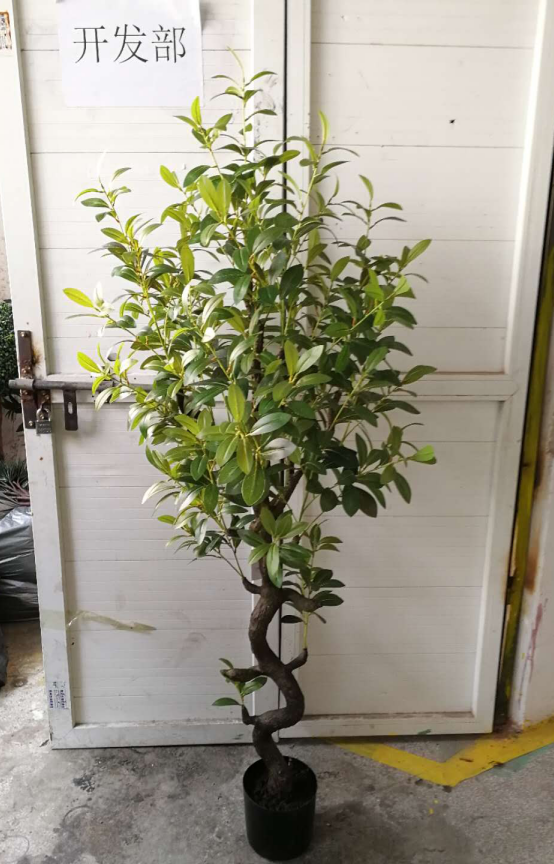 Cuckoo tree