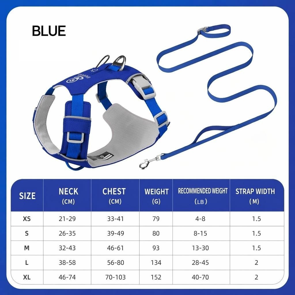 Ensemble bleu profond