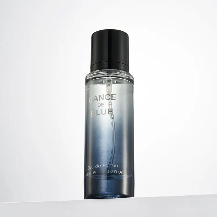 BKS8602-7 BKS 100ML personnalisé longue durée sexe attraction luxe haute qualité spray parfum pour homme vente en gros Eau De Toilette