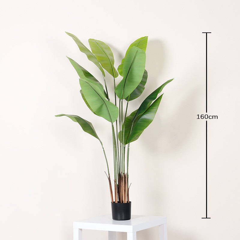Vert 160cm