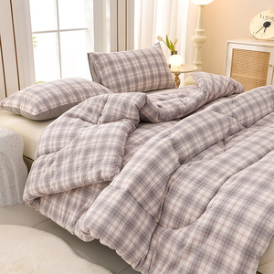 Giường đơn mùa đông chăn dày và ấm áp cho ký túc xá sử dụng cho mùa xuân và mùa thu - Product Image 3