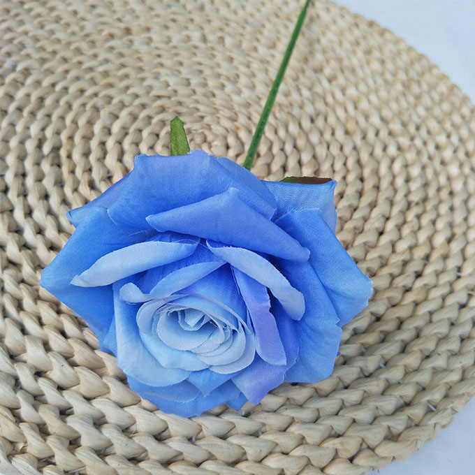 Bleu
