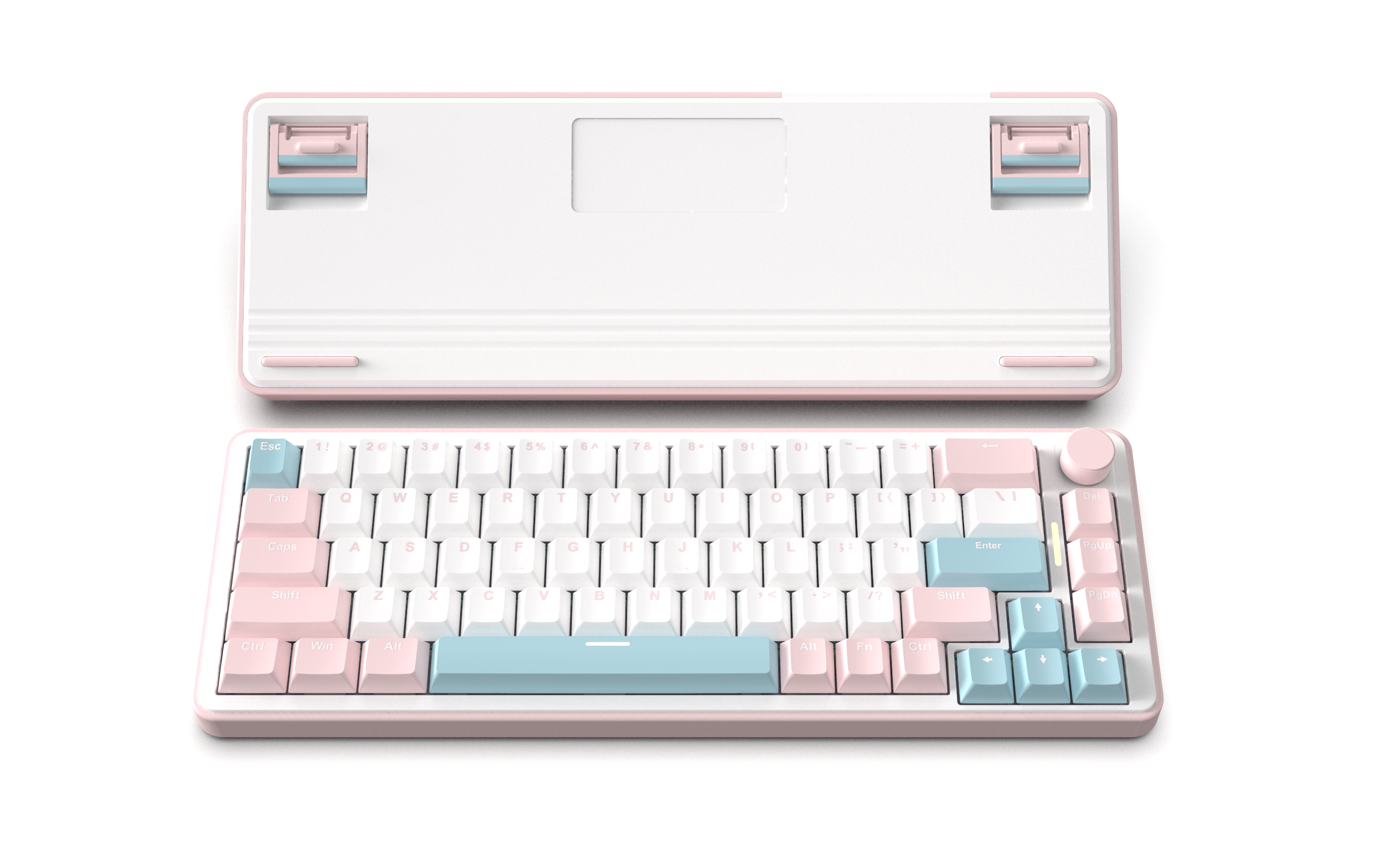White &Pink
