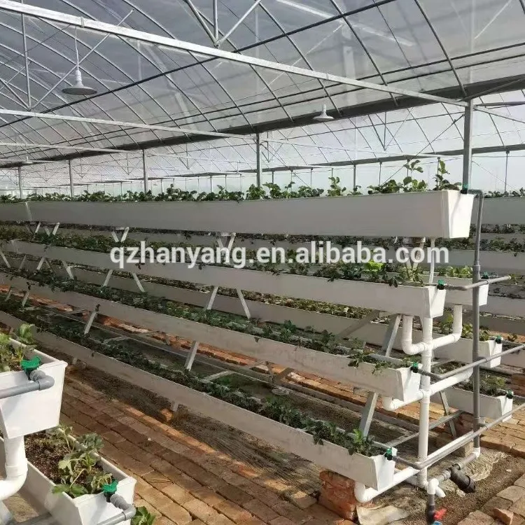 Planting trough greenhouses hydroponic greenhouses strawberry greenhouses