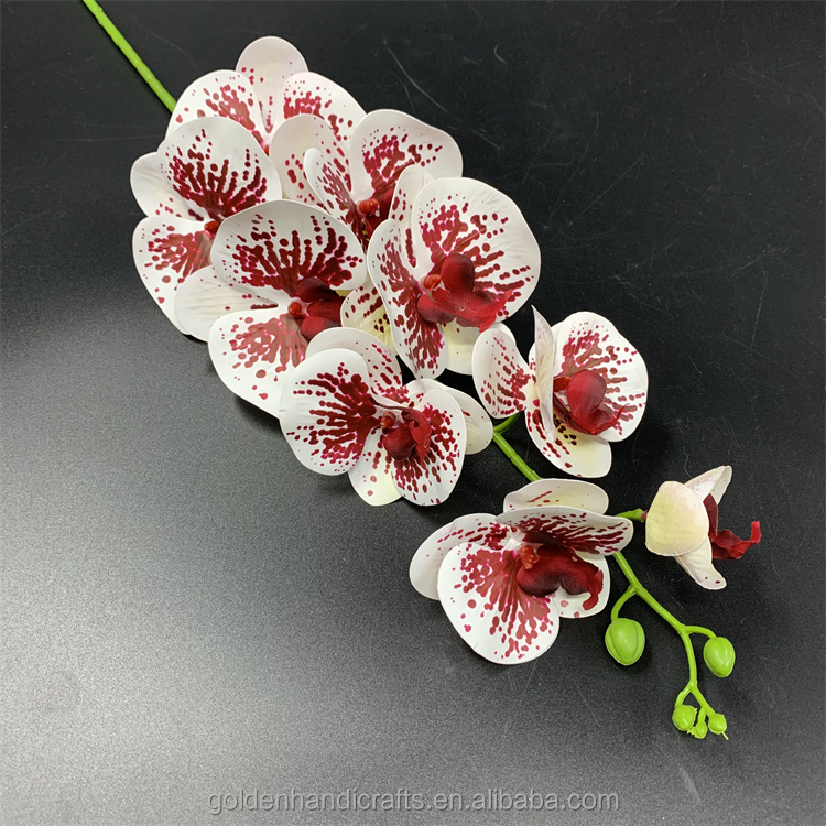 Blanco con centro rojo