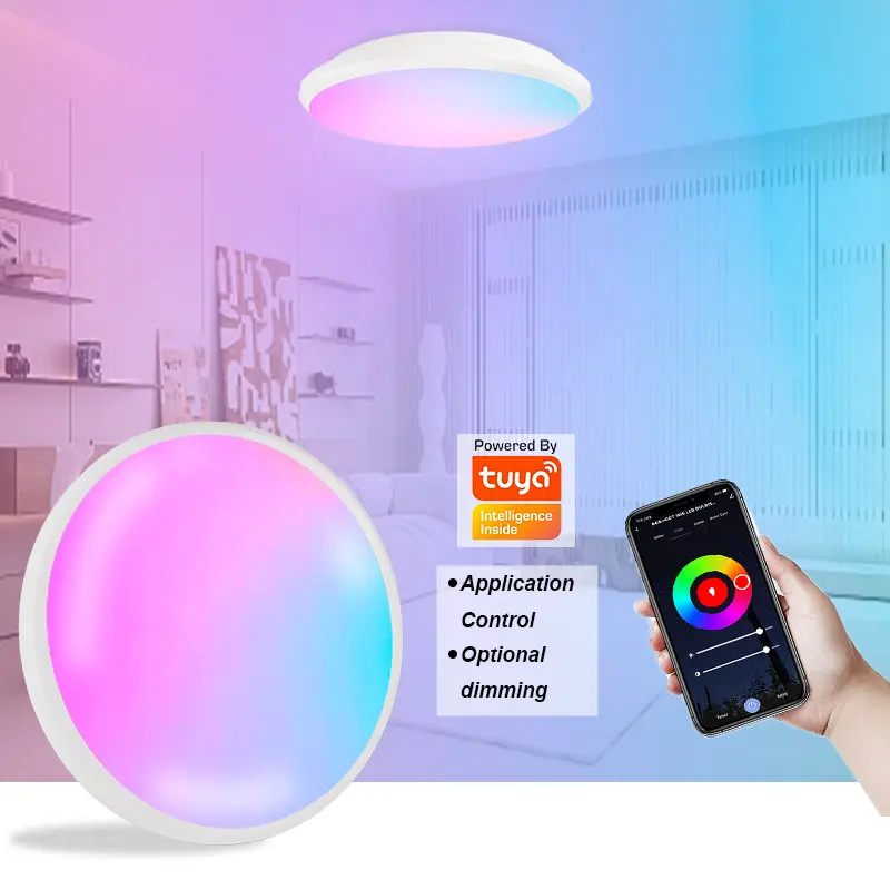 Toptan özel 24w Tuya yuvarlak şekil 20W dim Wifi akıllı ses lamba kontrol app rgb akıllı tavan işık yatak odası için