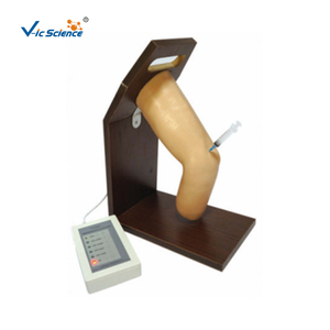 Modelo de inyección intracavidad de la articulación del maléolo superior para hospitales de entrenamiento de enfermería externa interna modelo de hueso de ciencia médica - Product Image 1