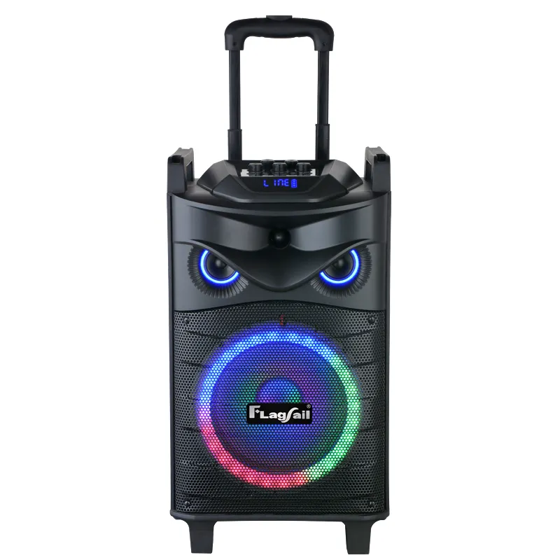 10 pollici nuovi prodotti Outdoor Wireless HiFi qualità professionale portatile lampeggiante colorato RGB luci altoparlante