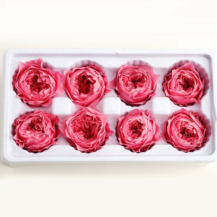 Rose Red