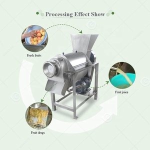 Mango elma 220V Squizing Hydra çıkarıcı sıkacağı hattı ticari hindistan cevizi süt makinesi makine meyve suyu makinesi - Product Image 5