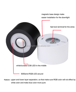 Benory 24V 12W Surface Mounted Downlight Ceiling Spot <strong>Led</strong> Connect KNX Loxone DALI DT8 <strong>PWM</strong> <strong>DMX</strong> RGBW 2700K 6000K <strong>LED</strong> Downlight - Product Image 4
