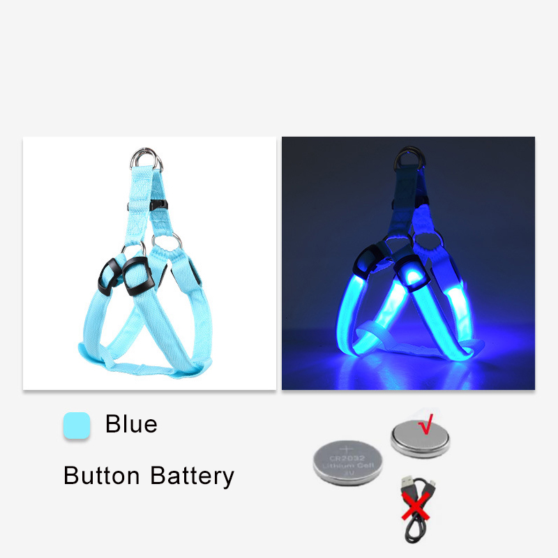 Pile bouton bleue