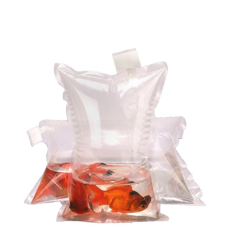 transparent