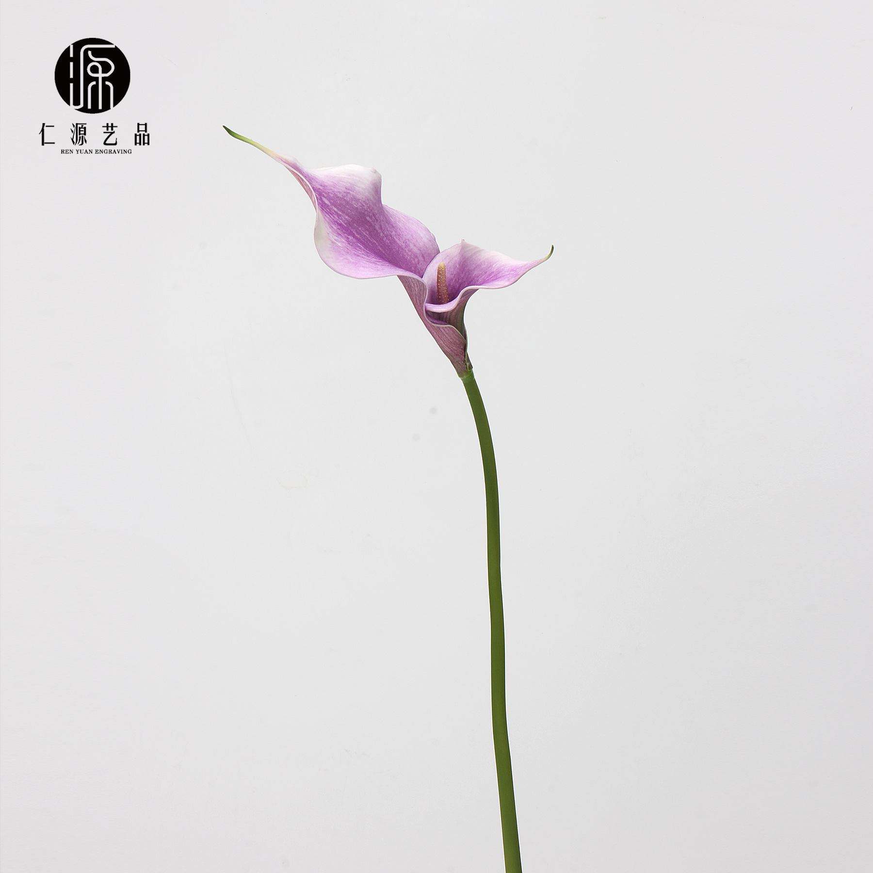 Double-headed purple - pre-order required