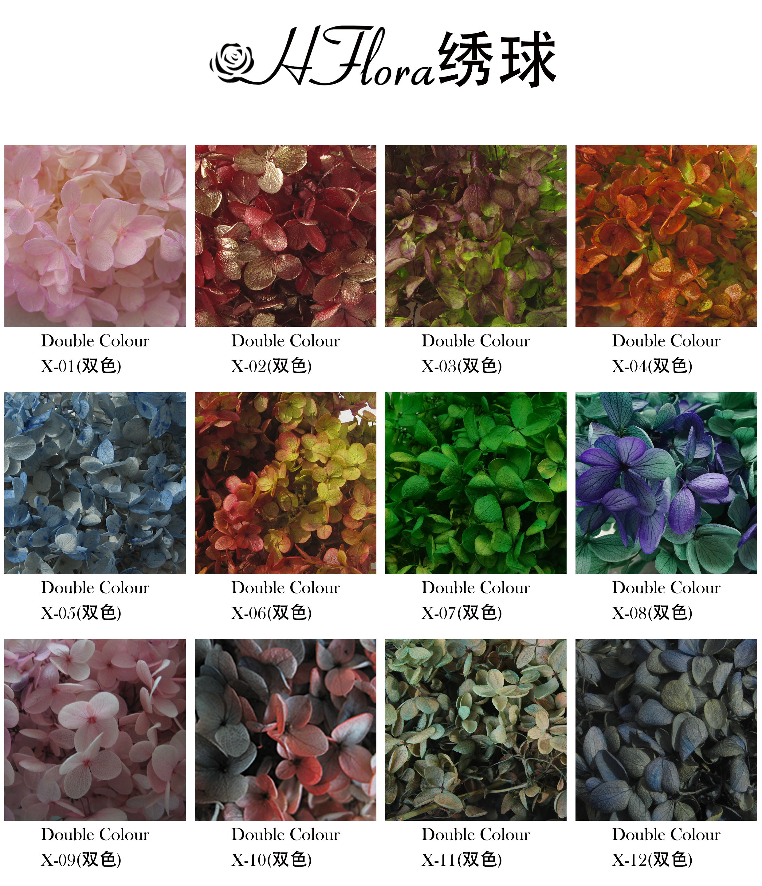 carta de colores 1