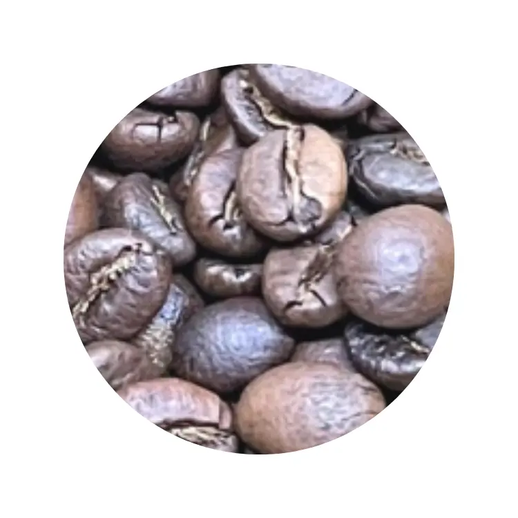 Kavrulmuş Arabica Catimor tam yıkama malzemesi dayanıklı kahve çekirdekleri kavrulmuş özel etiket kahve özel Logo vietnamca kahve