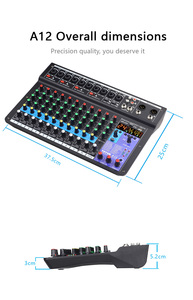 TEYUN Professional Portable <strong>12</strong>-Channel <strong>Audio</strong> Mixer Digital MP3 Sound Table Board with 48v Power and Computer <strong>Input</strong> - Product Image 6