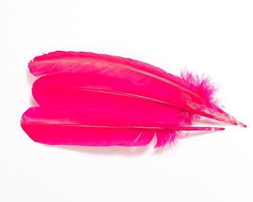 Fucsia