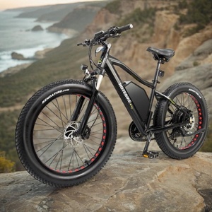Bicicleta eléctrica personalizada superventas 60V 2000W bicicleta eléctrica más potente 48V 500W 750W 1000W Motor bicicleta eléctrica