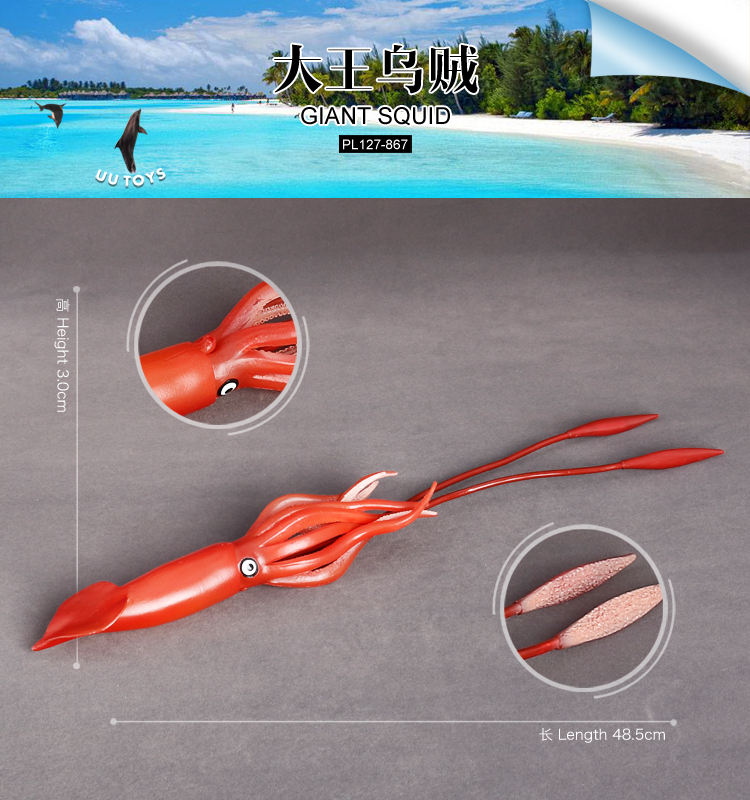 867 Calamar gigante