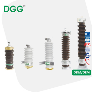 Pararrayos de chaqueta de porcelana serie DGG Y/F para sistemas de distribución de transformación de transmisión de generación de energía AC220KV - Product Image 1