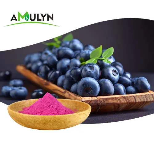 Chất lượng cao blueberry bột nước trái cây blueberry chiết xuất anthocyanidins bột blueberry bột
