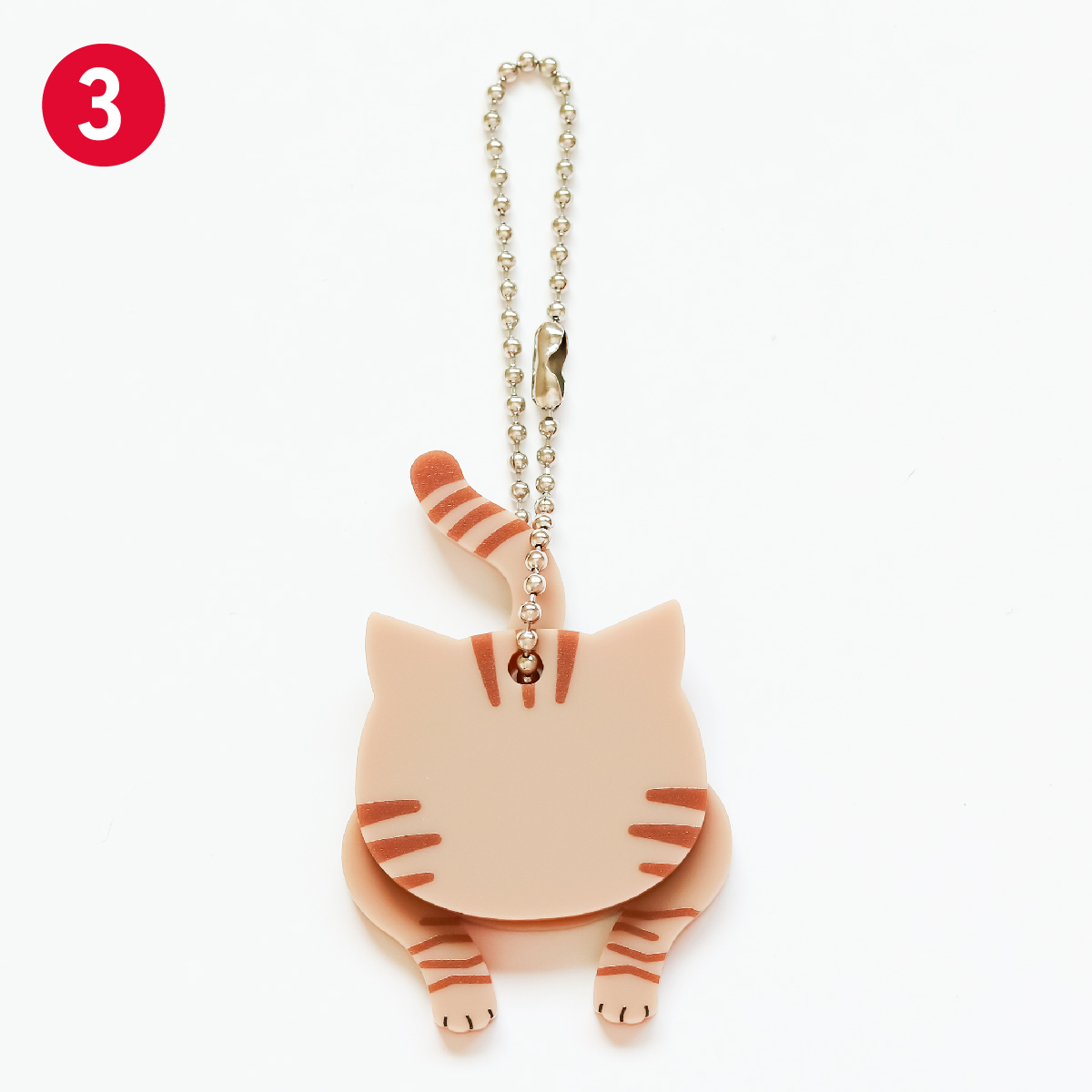 3. Orange Tabby Cat(Chatora)