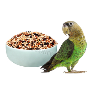 25KG kuş doğal tohum yüksek Protein siyah beyaz sarı yeşil kırmızı Quinoa kepekli tahıllar karışık Quinoa tohumları
