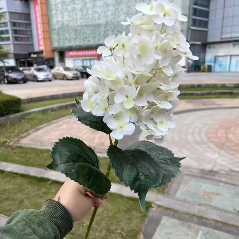 126 pièces d'hortensia pagode blanc au toucher caoutchouc souple