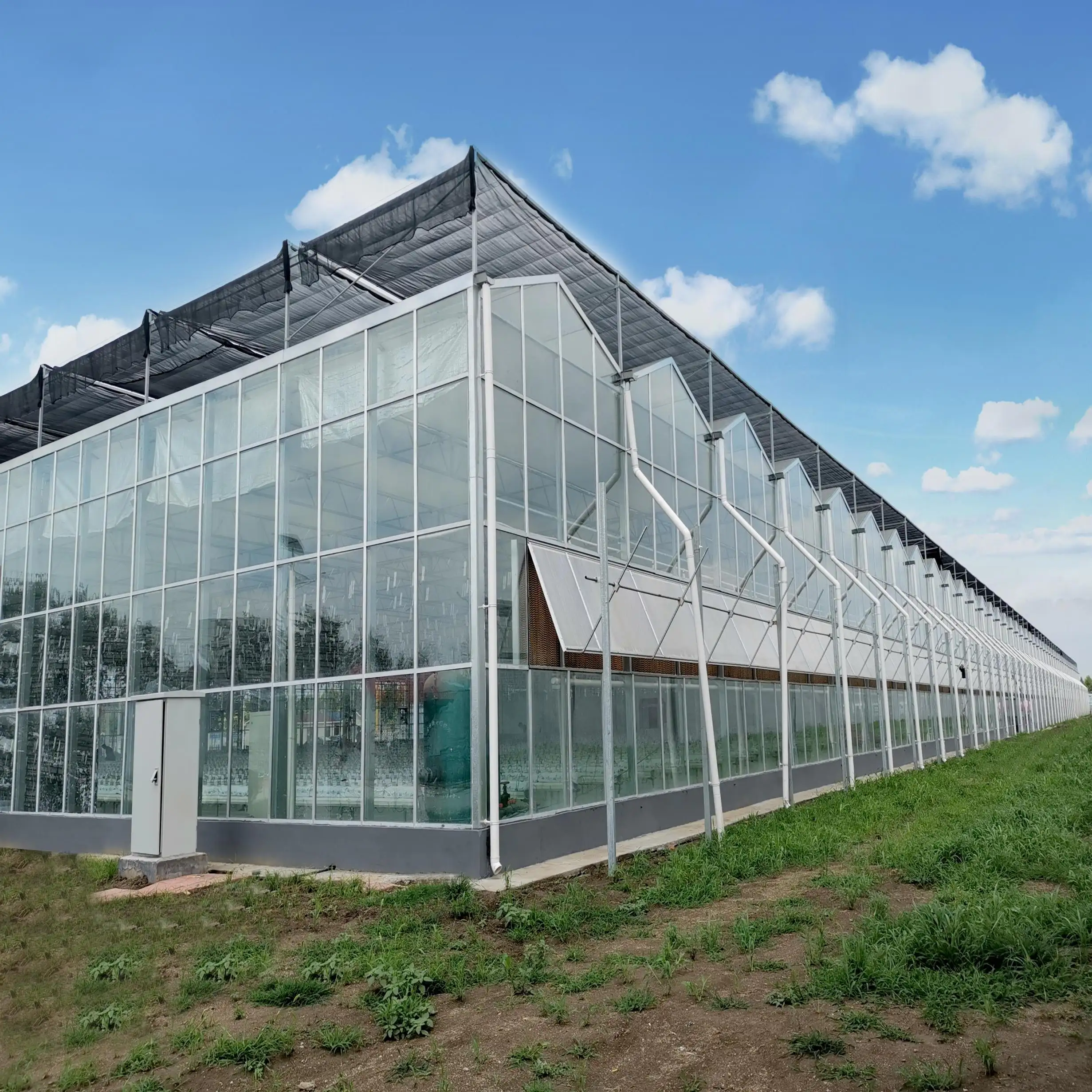 Venlo Glas landwirtschaftsgewächshaus zu verkaufen Mehrspannweite-Wächshaus für Tomaten