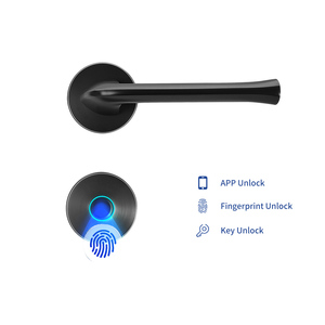 Parmak izi kapı kilit düğmesi-anahtarsız giriş kapı kilidi kolu parmak izi/IC kartları/şifre/yatak odası ev ofis için tuşları - Product Image 2