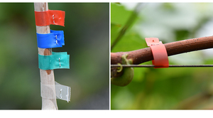 Thắt nút công cụ băng cho chi nhánh và cây nho buộc tay buộc xách tay nho Máy Buộc - Product Image 2