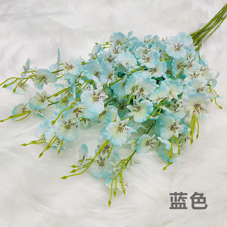 Orchidée dansante (bleue)
