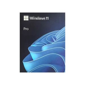 MS Win 11 Chuyên Nghiệp USB Box FPP Hộp 6 Tháng Bảo Hành Internet Phiên Bản Hệ Điều Hành Trong Kho USA Xuất Xứ - Product Image 1