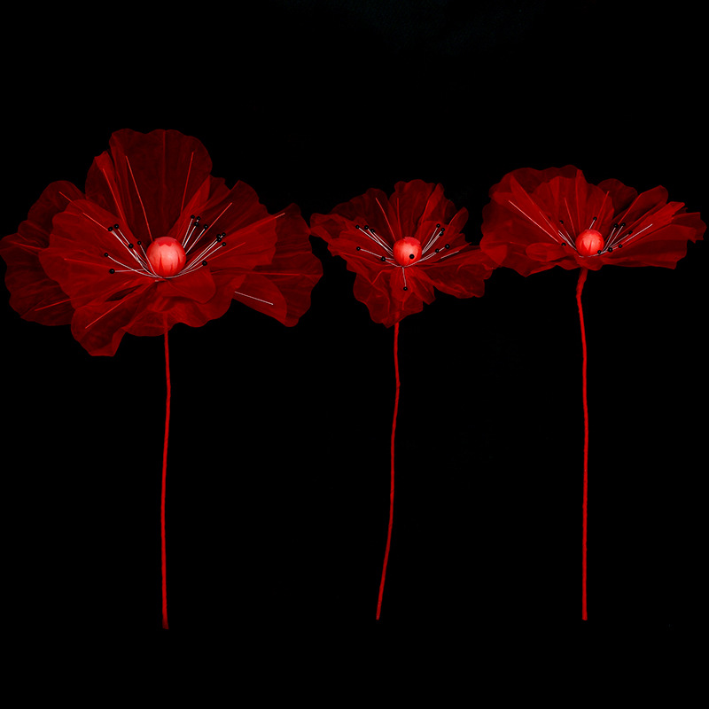 Grosse fleur rouge