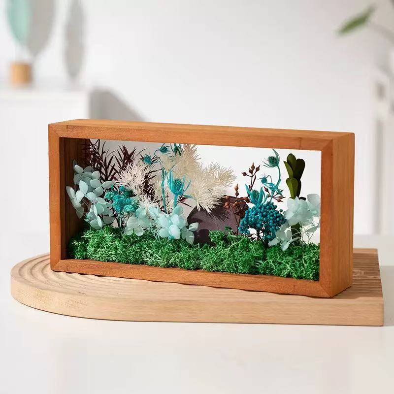 Pack de matériel Fanghua de forêt peu profonde + cadre photo