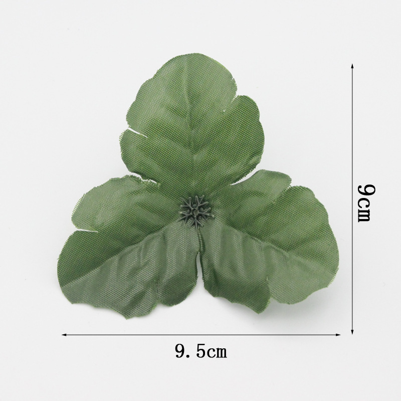 500g de feuilles de chrysanthème triangulaires